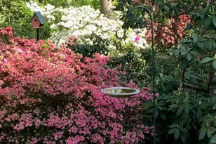 5 Shawmont Ln, Stony Brook, NY 11790 - Photo 31