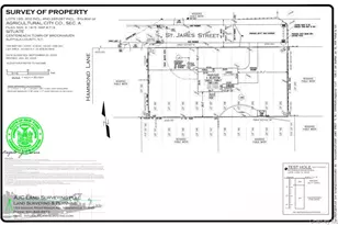 0 St James St, Centereach, NY 11720 - Photo 3