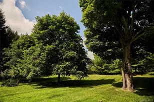 41 Seelbach Ln, Staatsburg, NY 12580 - Photo 37