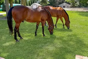 14 Hillside Ave, Saint James, NY 11780 - Photo 31