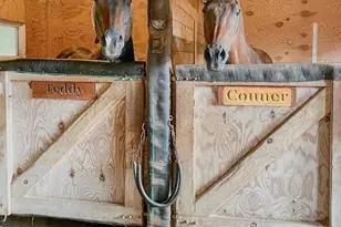 14 Hillside Ave, Saint James, NY 11780 - Photo 33