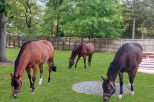 14 Hillside Ave, Saint James, NY 11780 - Photo 3