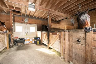 14 Hillside Ave, Saint James, NY 11780 - Photo 37