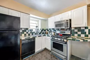 13 Crystal St, Elmont, NY 11003 - Photo 11