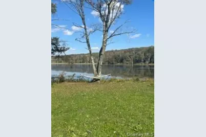 10 Dorm Drive, Fallsburg, NY 12747 - Photo 5