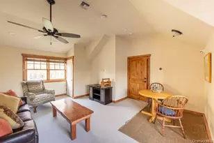 55 Chapin Trail, Bethel, NY 12720 - Photo 33