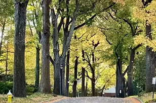 53 Somerset Dr S, Great Neck, NY 11020 - Photo 35