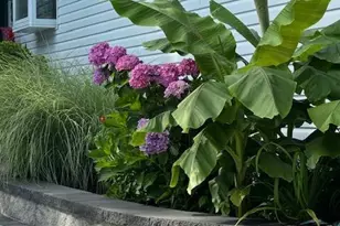 19 Hallock Ct, Miller Place, NY 11764 - Photo 3