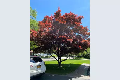 69 Meyer Lane, Medford, NY 11763 - Photo 15