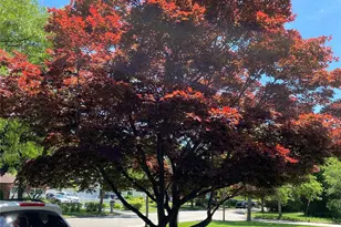 69 Meyer Ln, Medford, NY 11763 - Photo 15