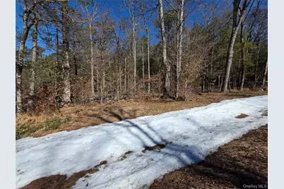 Gregory Road, Monticello, NY 12701 - Photo 7