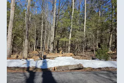 Gregory Road, Monticello, NY 12701 - Photo 1