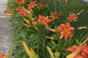 7 White Plains Ave, Elmsford, NY 10523 - Photo 3