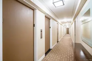 420 E 64th St, New York, NY 10065 - Photo 11