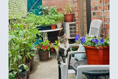 6607 242nd Street #13D, Little Neck, NY 11362 - Photo 1