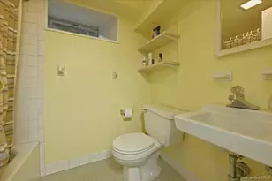 163 Elm St, Roslyn Heights, NY 11577 - Photo 19