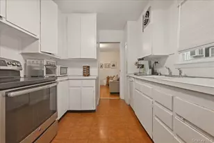 163 Elm St, Roslyn Heights, NY 11577 - Photo 11