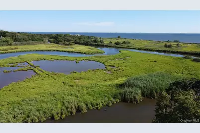 243 S Dunton Avenue, Patchogue, NY 11772 - Photo 3