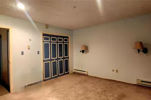 7 Cedar Park, Monticello, NY 12701 - Photo 29