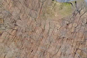 517A Old Chappaqua Rd, Briarcliff Manor, NY 10510 - Photo 7