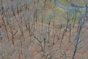 517A Old Chappaqua Rd, Briarcliff Manor, NY 10510 - Photo 11