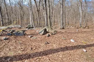 517A Old Chappaqua Rd, Briarcliff Manor, NY 10510 - Photo 9