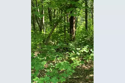 15 Adam Wagner Lane, Mahopac, NY 10541 - Photo 9