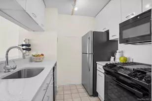 4 Martine Ave, White Plains, NY 10606 - Photo 11