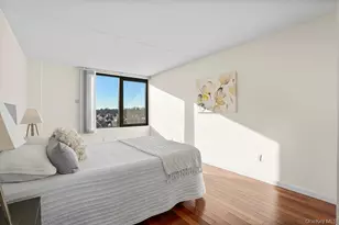 4 Martine Ave, White Plains, NY 10606 - Photo 13