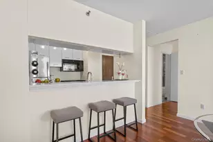 4 Martine Ave, White Plains, NY 10606 - Photo 9