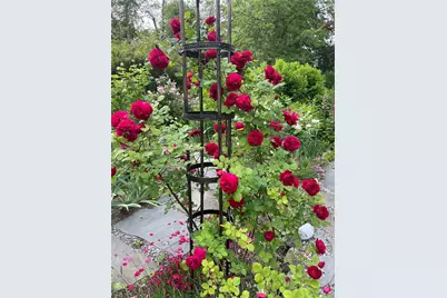 33 Fulmar Road, Mahopac, NY 10541 - Photo 33