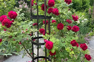 33 Fulmar Rd, Mahopac, NY 10541 - Photo 33