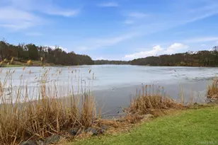 33 Fulmar Rd, Mahopac, NY 10541 - Photo 45