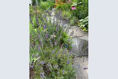 33 Fulmar Road, Mahopac, NY 10541 - Photo 35