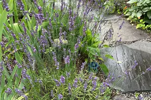 33 Fulmar Rd, Mahopac, NY 10541 - Photo 35