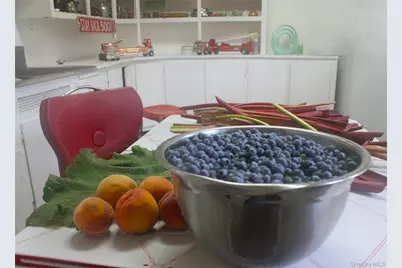 876 N Branch Hortonville Road, North Branch, NY 12745 - Photo 25