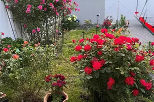 510 Reynolds Ave, Bronx, NY 10465 - Photo 21