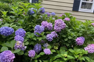 16 and 16A Brook St, Suffern, NY 10901 - Photo 27