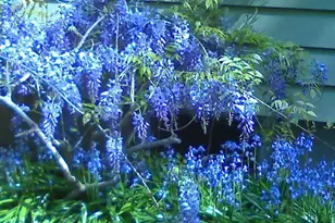 16 and 16A Brook St, Suffern, NY 10901 - Photo 29