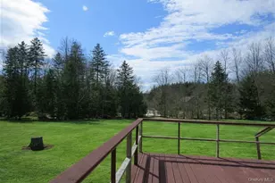 698 Cooley Rd, Parksville, NY 12768 - Photo 5