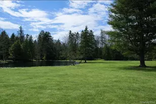698 Cooley Rd, Parksville, NY 12768 - Photo 5