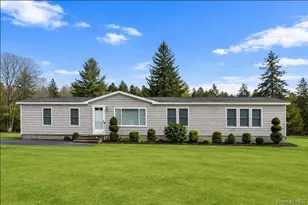 698 Cooley Rd, Parksville, NY 12768 - Photo 3