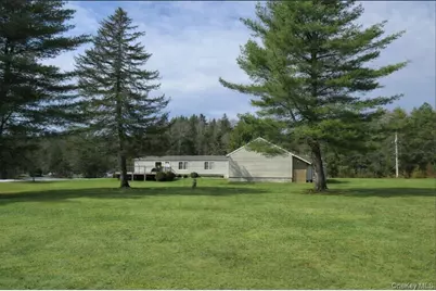 698 Cooley Road, Parksville, NY 12768 - Photo 3