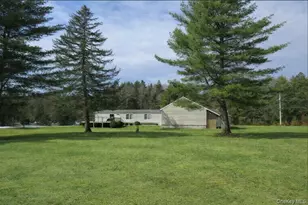 698 Cooley Rd, Parksville, NY 12768 - Photo 3