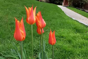 702 Autumn Ln, Brewster, NY 10509 - Photo 39