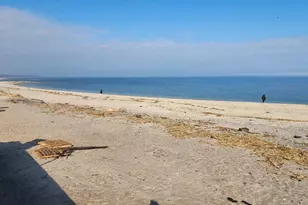 20 Gabriel Mills Rd, Wading River, NY 11792 - Photo 15