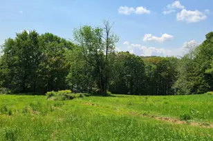 299-301 Stump Pond Rd, Livingston Manor, NY 12758 - Photo 49