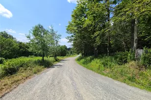 299-301 Stump Pond Rd, Livingston Manor, NY 12758 - Photo 47