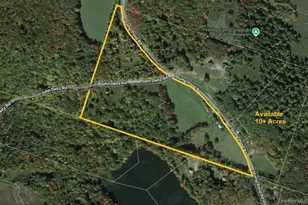 299-301 Stump Pond Rd, Livingston Manor, NY 12758 - Photo 5