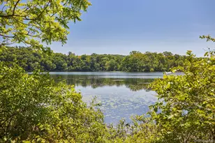 203 Silver Lake Rd, Rhinebeck, NY 12572 - Photo 49